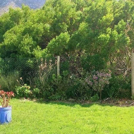Cat Nap Cottage Bettyʼs Bay Exterior foto