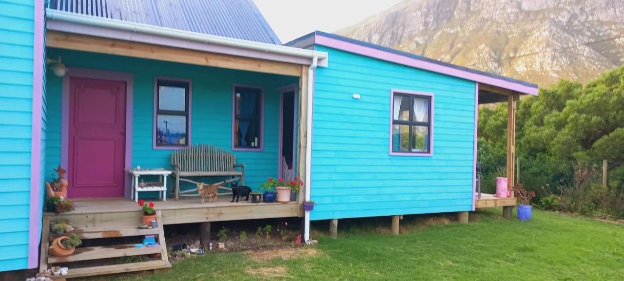 Cat Nap Cottage Bettyʼs Bay Exterior foto