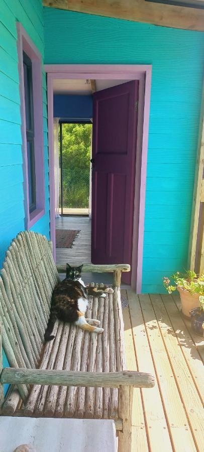 Cat Nap Cottage Bettyʼs Bay Exterior foto